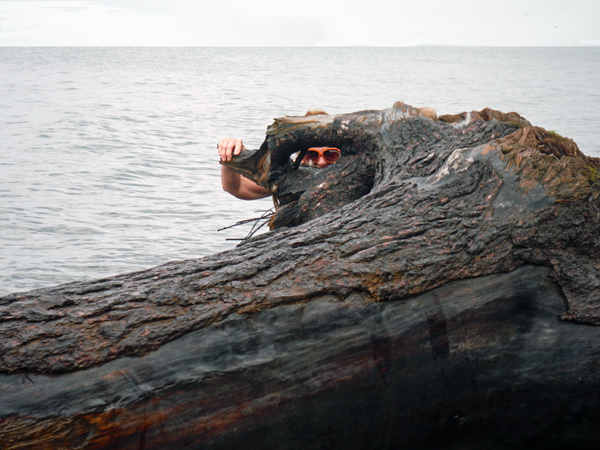 Karen Duquette and the periscope tree